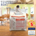 【あす楽】アルピジョン シャンプー イオンヘア＆フェイスクレンジングAX1000ml 詰替え用美容室専売品 シャンプー ノンシリコン レディース メンズ ヘアケアカラー ダメージヘアケア 低刺激 サロン専売品 美容室 ヘアソープ 髪 頭皮ケア ミネラル ALPSion 送料無料