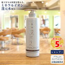 【あす楽】アルピジョン イオンヘアシャンプーH 490ml 大容量ボトル美容室専売品 シャンプー ノンシリコン レディース メンズ ヘアケアカラー ダメージヘアケア 低刺激 サロン専売品 美容室 ヘアソープ 髪 頭皮ケア ブリーチダメージケア ミネラル ALPSion 送料無料