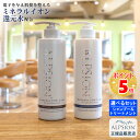 【あす楽】 アルピジョン シャンプー490ml＆トリートメント490g 【選べる2点セット】美容室専売品 レディース ヘアケア イオンシャンプー 大容量 ボトル 髪 30代 40代 50代 女性 美容師 カラー 低刺激 サロン専売 ALPSion 新生活 送料無料