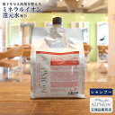 【あす楽】アルピジョン シャンプー イオンヘア＆フェイスクレンジングAX1000ml 詰替え用美容室専売品 シャンプー ノンシリコン レディース メンズ ヘアケアカラー ダメージヘアケア 低刺激 サロン専売品 美容室 ヘアソープ 髪 頭皮ケア ミネラル ALPSion 送料無料