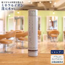 【あす楽】アルピジョン イオンヘアシャンプーH 250ml ボトル美容室専売品 シャンプー ノンシリコン レディース メンズ ヘアケアカラー ダメージヘアケア 低刺激 サロン専売品 美容室 ヘアソープ 髪 頭皮ケア ブリーチダメージケア ミネラル ALPSion 送料無料