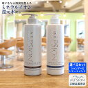 【あす楽】 アルピジョン シャンプー490ml＆トリートメント490g 【選べる2点セット】美容室専売品 レディース ヘアケア イオンシャンプー 大容量 ボトル 髪 30代 40代 50代 女性 美容師 カラー 低刺激 サロン専売 ALPSion 新生活 送料無料