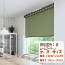 無地 遮光2級 ロールスクリーン オーダーサイズ 送料無料 幅25cm〜200cm高さ30cm〜300cm 目隠し 間仕切り テンションバーオプション 突っ...