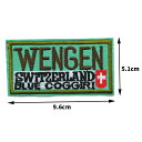 WENGEN グリーン イングランド ワッペン 刺繍 アップリケ ミシン手芸 アメリカ 手芸素材 国旗