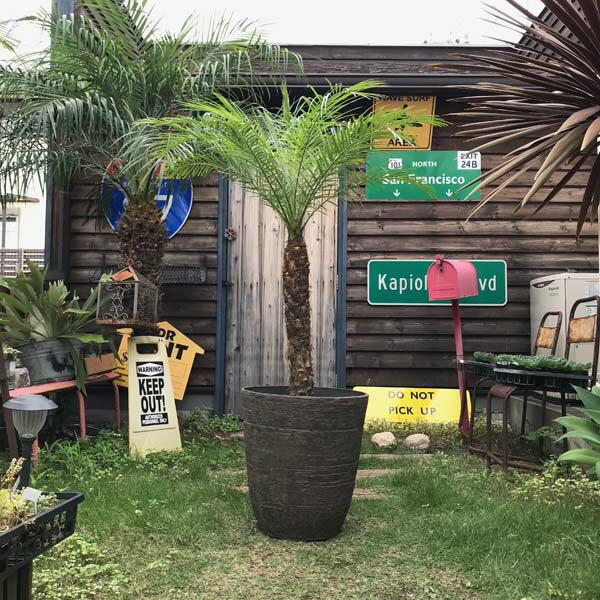 Rakuten - 2カラー 植木鉢 大きなプランター 鉢 オシャレ 軽量 合成樹脂 φ42.5cm