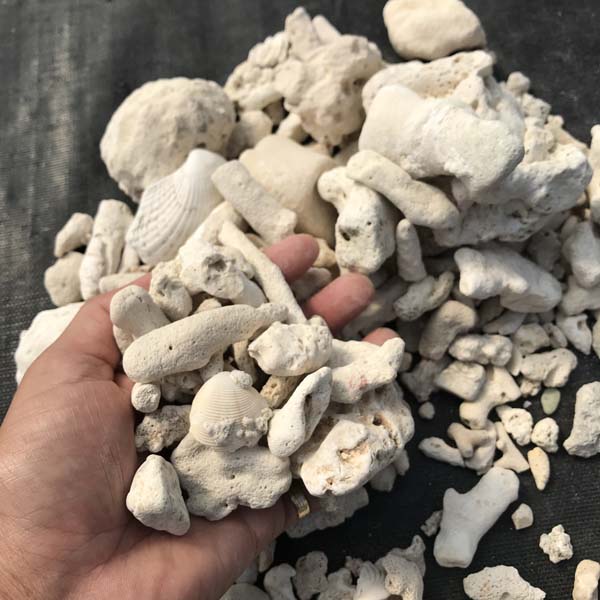 ���󥴺��� 3.5kg ���� ������ �ޥ���� �С������С�������