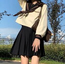 セーラー服 女子高生 制服 スカート セット 学生服 上下 長袖 半袖 プリーツスカート スカート ミニ ロング 膝丈 大きいサイズ 3L スカーフ 卒業式 入...