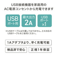 【1年保証付き/送料無料】IO+USB充電用ACアダプター2AMYTREXEMSHEATNECK/REBIVE対応電源タップアダプタースマートフォンアイオープラス