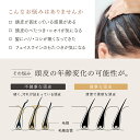 leapgrow:10000320のサンプル画像3