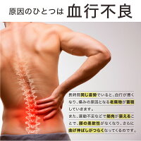 EMS温熱腰ストレッチャーMYTREXEMSHEATSTRETCHマッサージャー腰のこり腰痛緩和改善リラックス軽量設計腰マッサージャーリフレッシュ充電式マッサージ器ヒーター出張旅行移動自宅グッズプレゼントマイトレックスEMSヒートストレッチャー