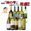 【バローロプレゼントキャンペーン中】イタリア 白ワイン 飲み比べ セット イタリアワイン 10本セット 白 イタリア政府公認ソムリエと本間チョースケ推薦10本セット 神の雫 マリアージュ ソムリエ 辛口 DOCG 金賞ワイン多数 イタリアワインの怪人