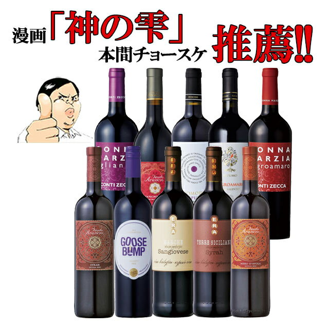 【バローロプレゼントキャンペーン中】金賞ワイン多数 赤ワイン セット 飲み比べセットイタリアワインセット 赤 イタリア政府公認ソムリエと本間チョースケ推薦10本セット