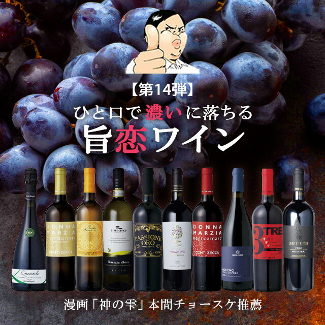 【バローロプレゼントキャンペーン中】【第14弾】ボリュームたっぷり旨濃ワインセット 飲み比べ イタリア政府公認ソ…