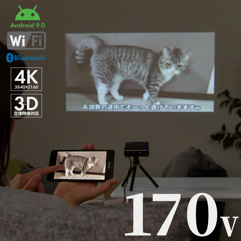 15 1100ݥȥХå ץ  ޥ ŷ  LED ŷ  170 Bluetooth Wi-Fi ƥ  DVD   ԡ 磻쥹 4K 3D HDMI ޥб iphone Android ֥롼ȥ