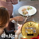 アクリルパーテーション 卓上 スタンド 400 600 アクリル板 パーティション 仕切 透明 不透明 パネル 衝立 コロナ対策 | デスク テーブル カウンター ショップ 飲食店 パーテンション パテーション 40cm 60cm 3mm クリア マット
