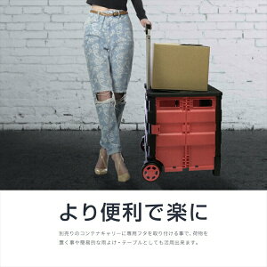 専用フタ ふたのみ 簡単装着 キャリーカート 軽量 折りたたみ アウトドア 買い物 コンパクト キャリーワゴン あす楽対応通販格安セール情報 楽天 通販