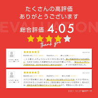 ランドリーバスケットスリムキャスター2段洗濯カゴおしゃれ大容量二段ラックワイヤーバスケット丸角ホワイトブラックグレー|洗濯かごランドリーワゴンランドリーラックランドリー収納メッシュ分別北欧【送料無料】_83423
