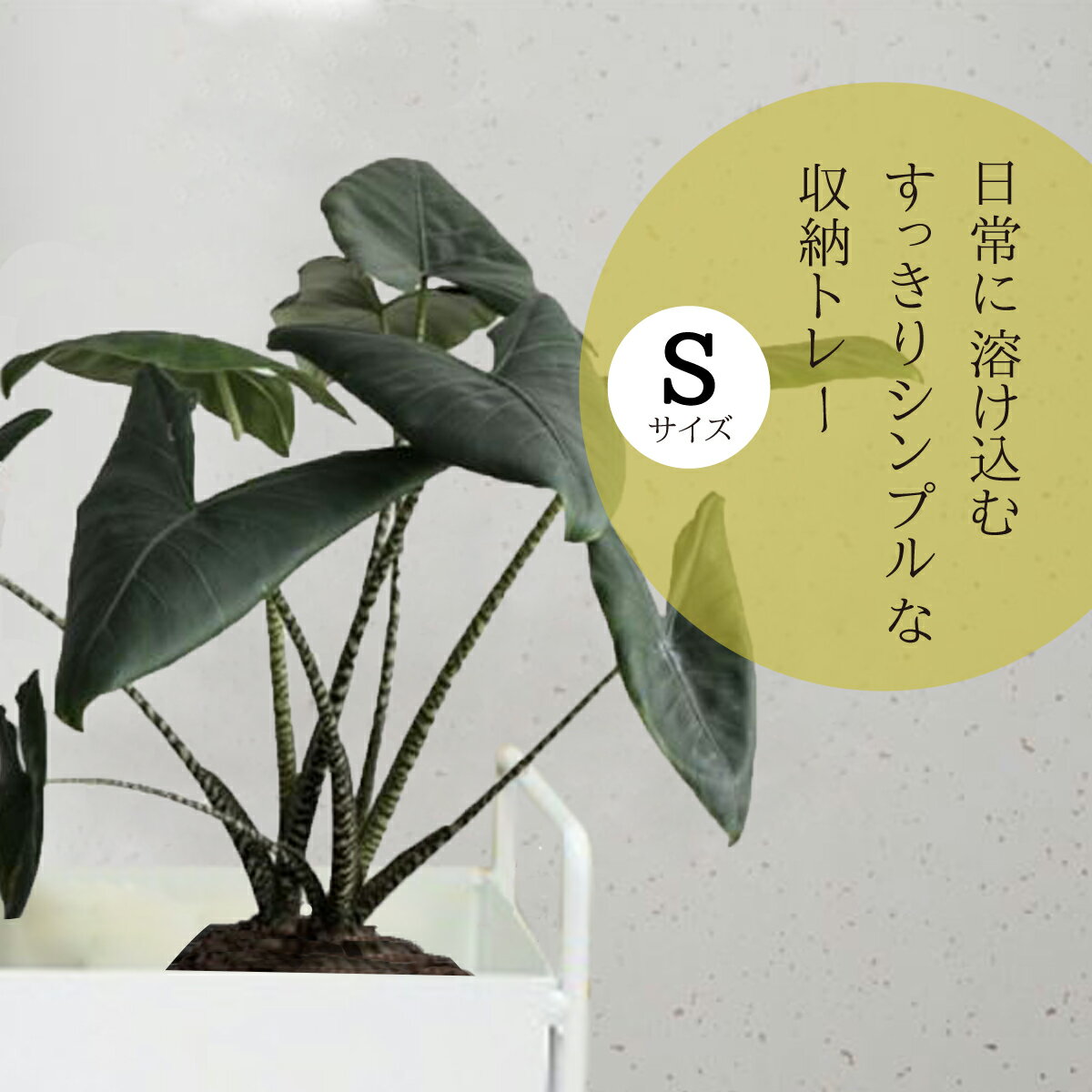 アイアン トレー ディスプレイ ラック 収納 オブジェ 北欧 小物入れ オープンシェルフ オープンラック インテリア雑貨 おしゃれ かわいい アロマ 観葉植物 エアプランツ モダン ホワイト ブラック ピンク @87330通販格安セール情報　楽天　通販