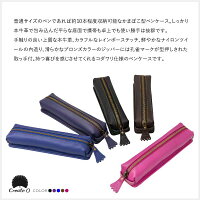 ペンケース牛本革製筆箱牛革/本革文具筆記具ペン10本収納選べる5色ブラック/パープル/ブルー/ブラウン/ピンク専用ケース付き贈り物プレゼントあす楽対応【送料無料】_82111