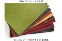 ■商品名：カットレザー ＜エルバマット・リスシオ＞ ハガキサイズ (10 × 14.8 cm) イタリアの老舗タンナー テンペスティ社製のオイルバケッタレザーの切り売りです。 じっくりと時間をかけオイルをたっぷりと含ませてあり、染料仕上げによる自然な色ムラとオイル感が特徴的で、植物タンニンなめしの特徴も存分に味わえます。 使い始めは革本来の持つマットな質感ですが、使い込んでいくほどにツヤが増し、革に染み込んだ脂がじわじわと馴染んでいきます。 染色・カービング：不向き スタンピング：可 ツヤ：控えめ 風合い：オイル感強め 用途：革小物など ■色：全15色 キャメル、イエローオーカー、ライム、スカーレット、レッド、モカ、レンガ、オリーブ、グレー、ダークブラウン、ワイン、パープル、ブルーグリーン、ネイビー、ブラック ※ロットにより色味が少し違う場合がございます。 ※画像は忠実な色が再現できませんので予めご了承ください。 ■サイズ：10 cm × 14.8 cm ※天然皮革のカット革は繊維組織の性質上、漉きなどの加工をすることによって、数ミリ収縮するなどサイズが変化することがございます。 ■漉き加工あり：0.8 mm～1.7 mm お好みの厚さをお選びください。 原厚：2.0 mm前後 レザーサンプル＜エルバマット・リスシオ 全15色セット＞の商品ページはこちらをご覧ください。