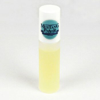 マスタングP・ウォーター / MUSTANG P・WATER レザーケア シューケア 皮革保護剤 革靴 革製品 レザーク..