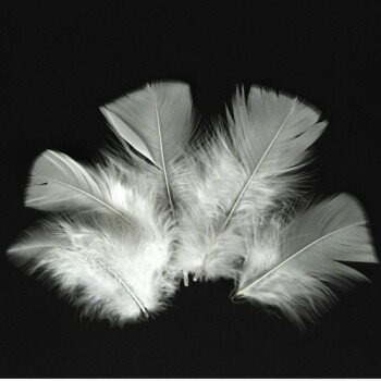 フェザー（5本入り）全5色 レザークラフト クラフト ハンドメイド 手芸 アクセサリー パーツ 羽根 羽 ネイティブ