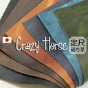 【定尺】WP Crazy Horse(WPクレイジーホース) (裁ち革・切り革・カットレザー)