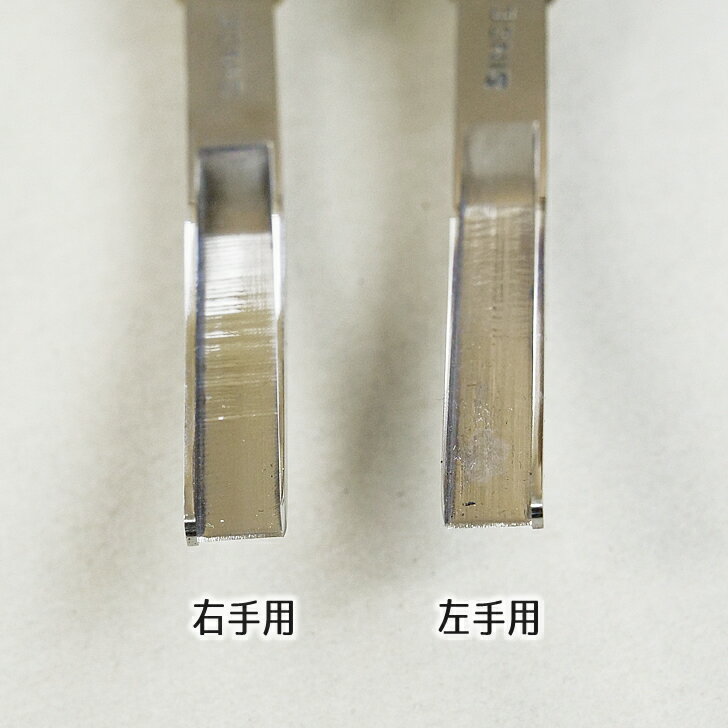 ����SINCE�ۥ磻�ɥ��å��㡼���ڥ����ڶ��ʥ���53313��