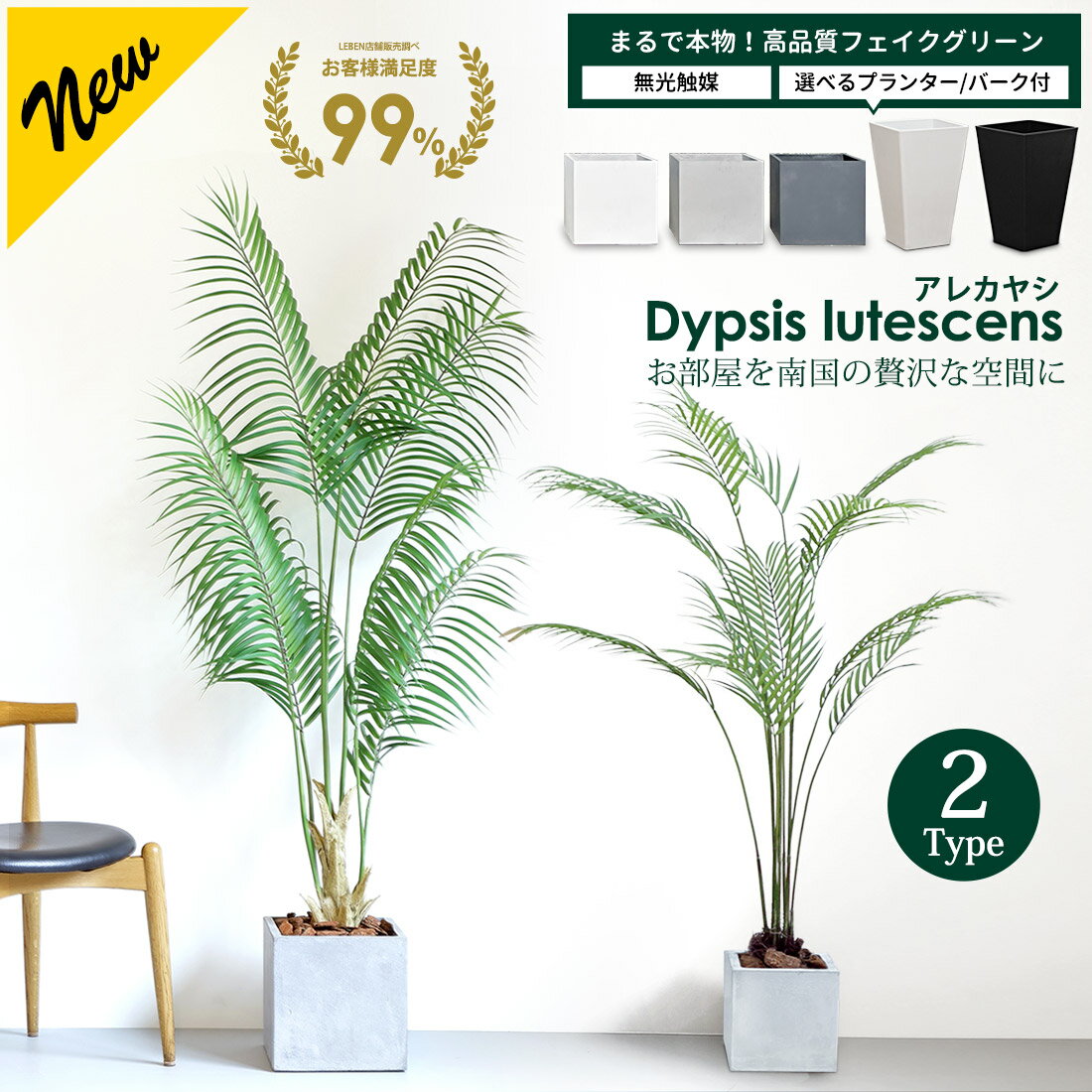 【5%OFFクーポン！ワンダフルデー】アレカヤシ 120cm 180cm 選べる2サイズ【 鉢 &  ...
