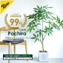 ＼300円OFFクーポン進呈中／【ランキング1位受賞】花・観葉植物 造花・人工観葉植物 人工観葉植物 リアルグリーンフェンス ボックスウッド リアルなグリーンが夏の日差しをカット！目隠しにも最適。 8238 簡単設置 緑のカーテン 涼しい 夏 グリーンフェンス 目隠し リ