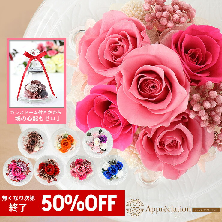 ★【母の日】【50％OFF：半額】【4,50