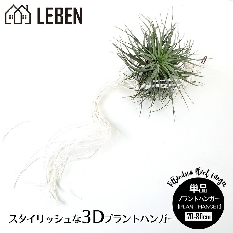 プラントハンガー [70-80cm] [紙製]エアープランツ エアプランツ 観葉植物 ティランジア チランジア 壁掛け 吊り下げ インテリア 誕生日 ギフト 丈夫 人気 育てやすい　ハンキング[ap]