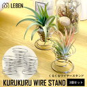 くるくるワイヤースタンド【3個セット】エアープランツ エアプランツ 観葉植物 ティランジア チランジア 壁掛け 吊り下げ インテリア 誕生日 ギフト 丈夫 人気...