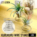 【10%OFFクーポン!5と0のつく日】くるくるワイヤースタンド【1個】エアープランツ エアプランツ 観葉植物 ティランジア チランジア 壁掛け 吊り下げ イン...