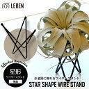 星形ワイヤースタンド 【1個】エアープランツ エアプランツ 観葉植物 ティランジア チランジア 壁掛け 吊り下げ インテリア 誕生日 ギフト 丈夫 人気 育てや...