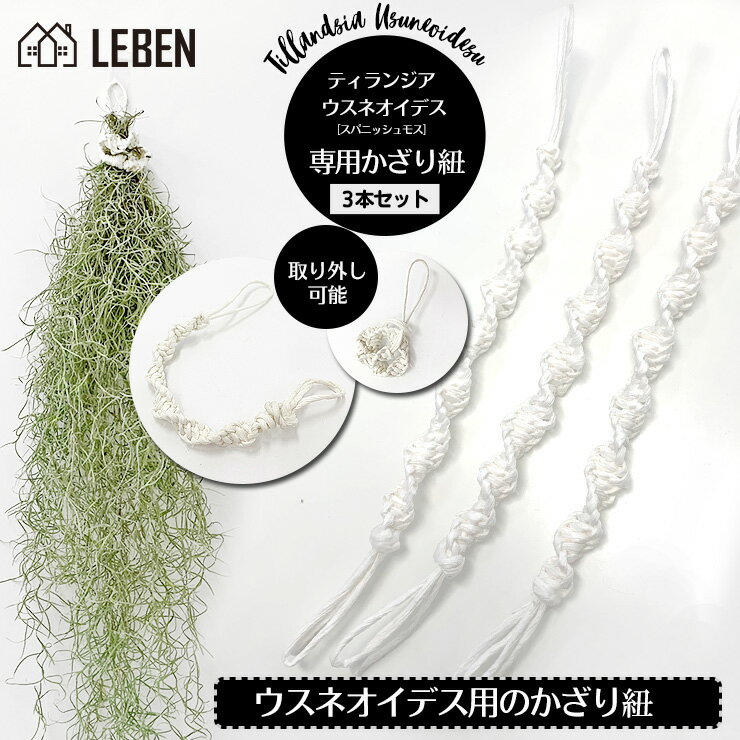 ウスネオイデス 専用飾り紐 【3本】約27cm スパニッシュモス エアープランツ エアプランツ 観葉植物 ティランジア チランジア 壁掛け 吊り下げ インテリア【ゆうパケット 送料無料】[ap]