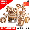 【ウクライナを応援!】 ウッドパズル 火星探査機 3Dウッドパズル パズル 木製パズル 組立キット 工作キット 知育 木製 歯車 立体パズル 立体 脳トレ キッ...