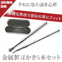 【楽天2冠1位受賞】 6本セット 高級 耳かき ステンレス 金属 耳掻き みみかき 耳掃除 匠 耳かき 耳かき 子供 耳垢取り みみそうじ 耳かき 極細 高級耳かき あすすめ ポイント消化 耳垢 掃除 送料無料