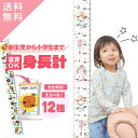 【12デザイン】 身長計 インテリア おしゃれ 身長 身長計 壁掛け 身長計ステッカー 子供 身長 壁掛け 身長 計 身長計 ポータブル ベビー用身長計 送料無...