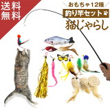 12ॻåȡ ǭ ǭ  ڥå ڥåѤ ͤΤ ư­ ǭ ǭ餷 ͤ餷 ǭѴ cattoy ǭ ͵ 襤 դ ꤰ ꤰ åå 