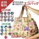 【楽天12冠1位 大小2枚セット】 エコ