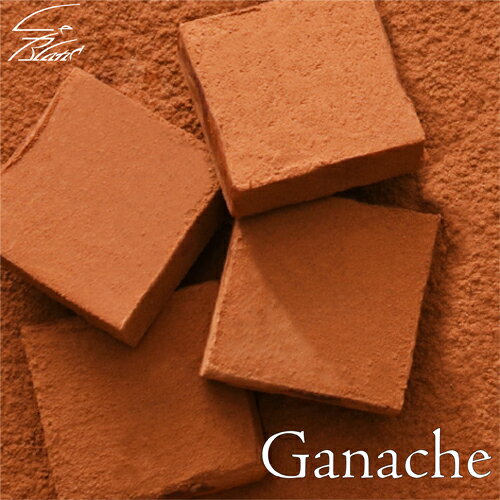 【お届け開始は1/21-】2021 バレンタイン特集☆季節限定☆5箱以上でちょっぴりお得☆優雅でまろやかな口溶けの生チョコレート『ガナッシュ』4個入り格安通販　バレンタイン　人気　ランキング