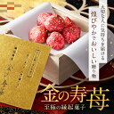 縁起果実 金の寿苺 / 染みチョコ しみチョコ 苺チョコ プレゼント 御中元 暑中見舞い いちご イチゴ 含浸チョコ チョコレート 苺 スイーツ ホワイトチョコ ドライフルーツ 含浸果実 ギフト プチギフト フルーツチョコレートフリーズドライ チョコレート菓子 寿苺