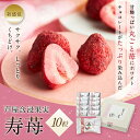 芦屋 含浸果実 寿苺 10粒 ホワイトデー 染みチョコ 母の日 しみチョコ 苺チョコ プレゼント 可愛いお菓子 チョコいちご いちご イチゴ お返し チョコレート 苺 スイーツ ホワイトチョコ ドライフルーツ ギフト プチギフト フルーツチョコレート チョコレート菓子