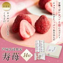 芦屋 含浸果実 寿苺 14粒/ しみチョコ 苺チョコ ホワイトデー お返し 母の日 プレゼント イチゴギフト フリーズドライ いちご イチゴ チョコレート スイーツ お返しスイーツ ホワイトチョコ フルーツチョコレート いちごチョコレート ドライイチゴ ギフト プチギフト