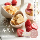 芦屋 寿果実 16袋セット 贈答箱 / 染みチョコ ギフト しみチョコ スイーツ プレゼント ホワイトチョコ 苺チョコ フルーツチョコ ドライフルーツ イチゴ ...