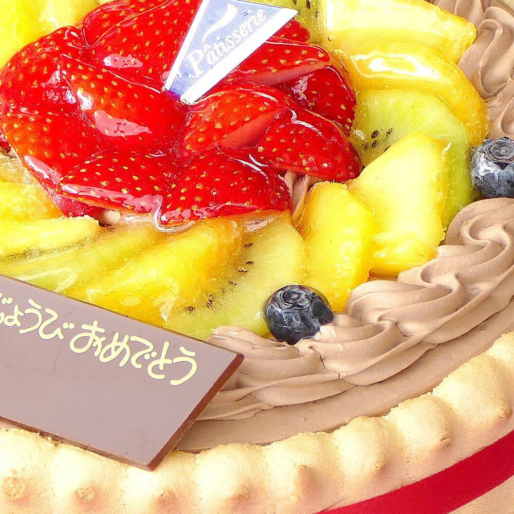 ビスキュイ付フルーツ生チョコクリームケーキ 8号バースデーケーキ 誕生日ケーキ 【送料無料】 15〜18名様用 チョコレートケーキ 大きい 冷凍 チョコプレート付