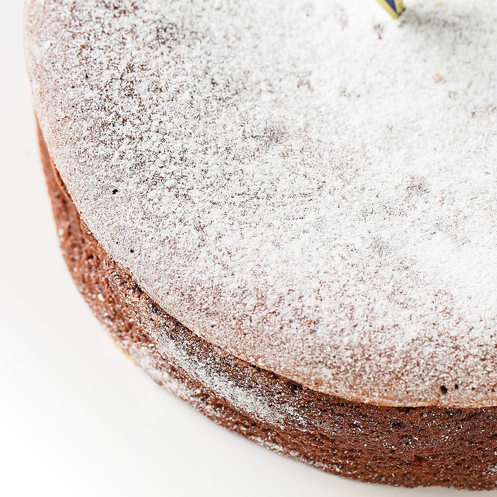 ガトーショコラケーキ 5号バースデーケーキ 誕生日ケーキ 【送料無料】 4〜6名様用 お取り寄せスイーツ 大人 男性 冷凍 チョコプレート付