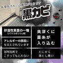 カビ 黒カビ 激落ちくん 目地 研磨ブラシ 【激落ち 2WAY 研磨粒子 研磨】 2