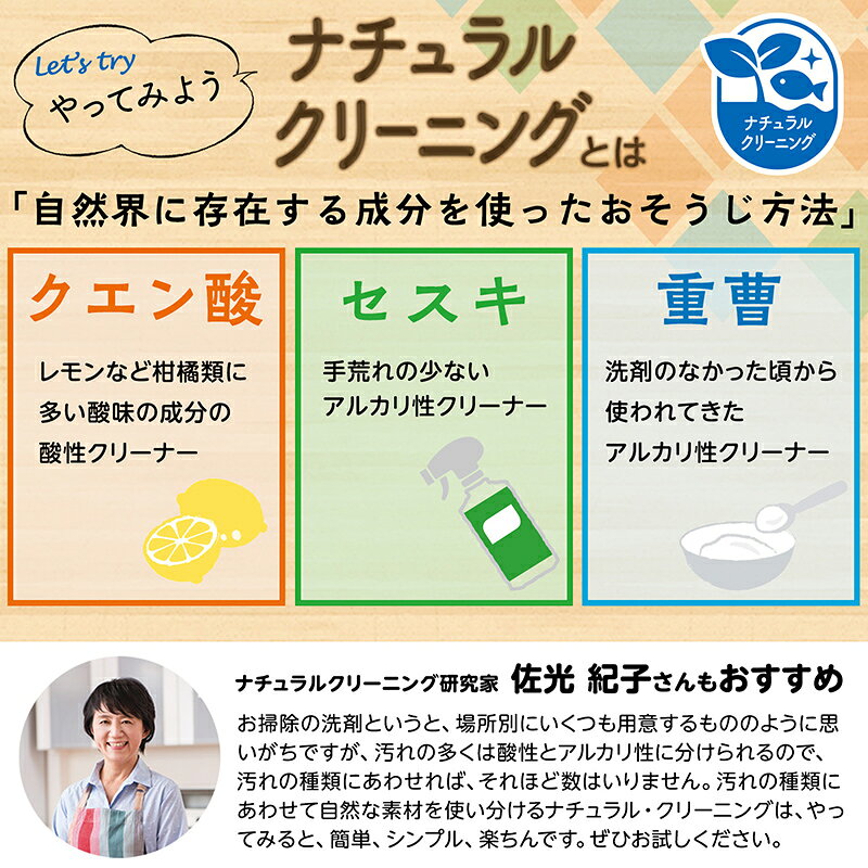 激落ちくん メラミンクリーナー クエン酸 プラス レック ダイレクト lec